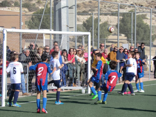 Alevin B - UCAM Murcia C