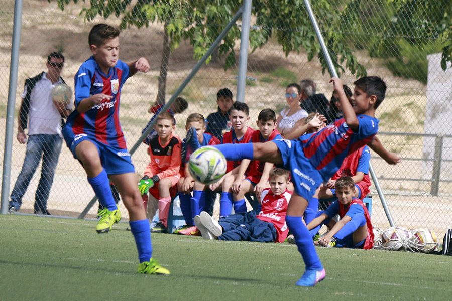 Alevín A vs Rincón de Seca - Jornada 14 - 2018