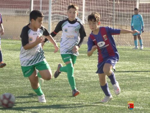 San Jose – Alevin B 03